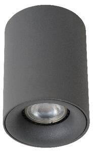 BENTOO-LED - Stropné bodové svetlo - priemer 8 cm - LED stmievatelné - GU10 - 1x5W 3000K - Sivé