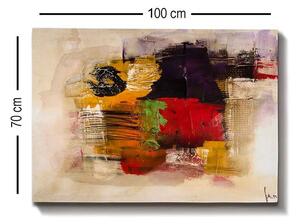 Obraz na stenu Bella (70 x 100) - 171 viacfarebný
