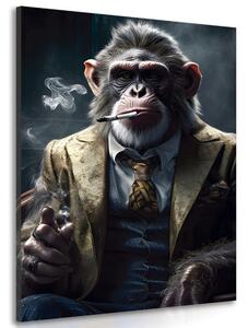 Obraz zvierací gangster šimpanz