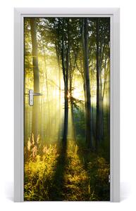 Fototapeta samolepiace na dvere les príroda 95x205 cm