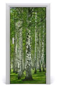 Fototapeta na dvere Břízová les 95x205 cm