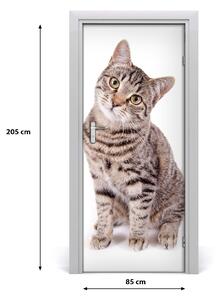 Samolepiace fototapety na dvere mačka 85x205 cm
