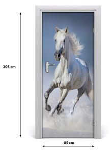 Samolepiace fototapety na dvere Kôň v cvale 85x205 cm