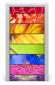 Fototapeta samolepiace farebné kvety 95x205 cm