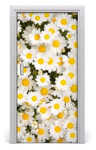Fototapeta samolepiace kvety sedmokrásky 95x205 cm