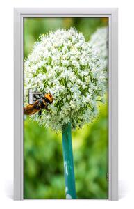 Fototapeta samolepiace kvet cesnaku 95x205 cm