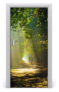 Fototapeta na dvere chodník v lese 95x205 cm