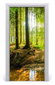Fototapeta na dvere samolepiace slnka v lese 95x205 cm