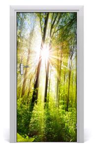 Fototapeta na dvere samolepiace slnka v lese 95x205 cm