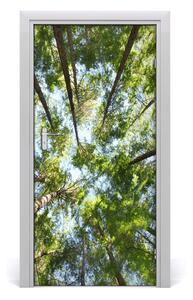 Fototapeta na dvere samolepiace koruna stromov 95x205 cm