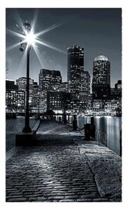 DIMEX | Vliesové fototapety na stenu Boston MS-2-0016 | 150 x 250 cm | čiernobiela