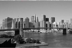DIMEX | Vliesové fototapety na stenu Manhattan v šedej farbe MS-5-0010 | 375 x 250 cm | čiernobiela