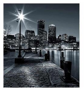 DIMEX | Vliesová fototapeta na stenu Boston MS-3-0016 | 225 x 250 cm | čiernobiela