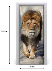 Samolepiace fototapety na dvere Lev portrét 85x205 cm