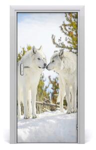 Samolepiace fototapety na dvere Dva bieli vlci 95x205 cm