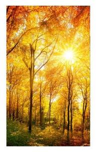 DIMEX | Vliesové fototapety na stenu Slnečný les MS-2-0067 | 150 x 250 cm | žltá, oranžová, zelená