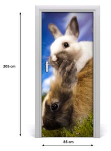 Samolepiace fototapety na dvere dva králiky 85x205 cm