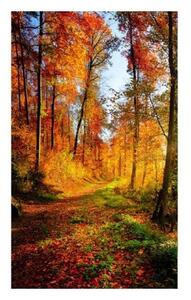 DIMEX | Vliesové fototapety na stenu Prechádzka lesom MS-2-0065 | 150 x 250 cm | oranžová, zelená