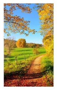 DIMEX | Vliesové fototapety na stenu Lúka MS-2-0066 | 150 x 250 cm | zelená, žltá, modrá, červená