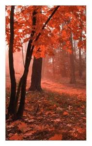 DIMEX | Vliesové fototapety na stenu Les v hmle MS-2-0095 | 150 x 250 cm | červená, hnedá, zelená