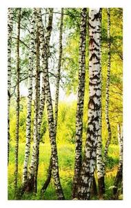 DIMEX | Vliesové fototapety na stenu Brezový les MS-2-0094 | 150 x 250 cm | biela, čierna, zelená