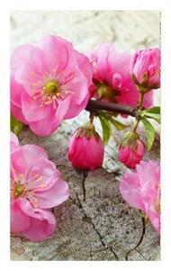 DIMEX | Vliesové fototapety na stenu Sakura MS-2-0109 | 150 x 250 cm | ružová, zelená, béžová