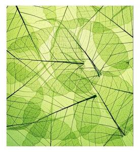 DIMEX | Vliesová fototapeta na stenu Žilky listov MS-3-0111 | 225 x 250 cm | zelená