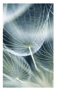DIMEX | Vliesové fototapety na stenu Púpava makro MS-2-0123 | 150 x 250 cm | biela, šedá