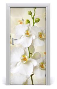 Fototapeta na dvere biela orchidea 95x205 cm
