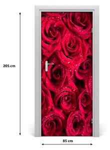 Fototapeta na dvere červená ruža 85x205 cm