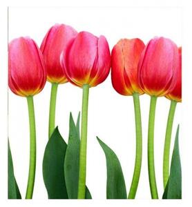 DIMEX | Vliesová fototapeta na stenu Tulipány MS-3-0126 | 225 x 250 cm | zelená, červená, biela