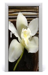 Fototapeta na dvere orchidea 95x205 cm