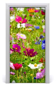 Fototapeta na dvere poľné kvety 95x205 cm