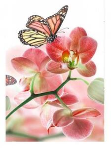 DIMEX | Vliesové fototapety na stenu Motýle a orchidey MS-2-0146 | 150 x 250 cm | biela, viacfarebná