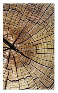 DIMEX | Vliesové fototapety na stenu Letokruhy MS-2-0162 | 150 x 250 cm | hnedá, béžová