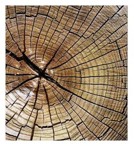 DIMEX | Vliesová fototapeta na stenu Letokruhy MS-3-0162 | 225 x 250 cm | hnedá, béžová