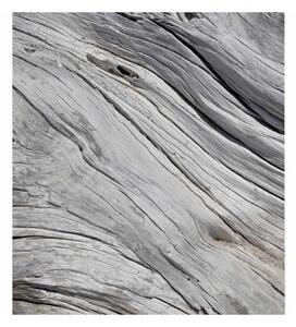 DIMEX | Vliesová fototapeta na stenu Štruktúra stromu MS-3-0160 | 225 x 250 cm | šedá
