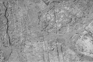DIMEX | Vliesové fototapety na stenu Betónová podlaha MS-5-0173 | 375 x 250 cm | šedá