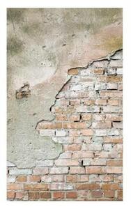 DIMEX | Vliesové fototapety na stenu Oprýskaný múr MS-2-0168 | 150 x 250 cm | béžová, ružová