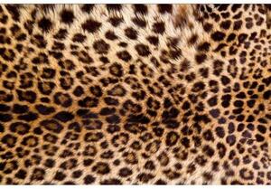 DIMEX | Vliesové fototapety na stenu Leopardia koža MS-5-0184 | 375 x 250 cm | čierna, hnedá