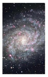 DIMEX | Vliesové fototapety na stenu Galaxia MS-2-0189 | 150 x 250 cm | čierna, šedá, ružová