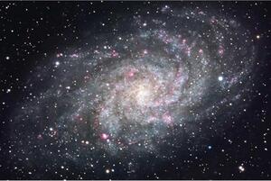 DIMEX | Vliesové fototapety na stenu Galaxia MS-5-0189 | 375 x 250 cm | čierna, šedá, ružová
