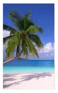 Fototapeta - Pláž s palmou