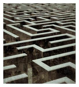 DIMEX | Vliesová fototapeta na stenu 3D labyrint MS-3-0279 | 225 x 250 cm | hnedá, šedá