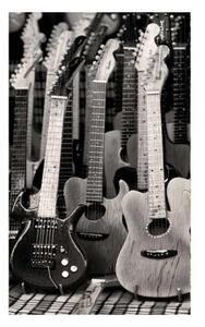 DIMEX | Vliesové fototapety na stenu Gitarová kolekcia MS-2-0303 | 150 x 250 cm | čiernobiela