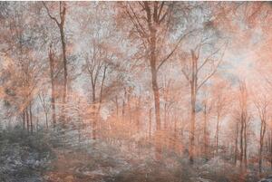 Fototapeta - Abstraktný farebný les