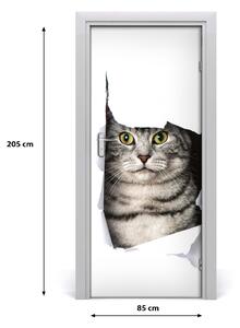 Fototapeta samolepiace na dvere mačka v diere 85x205 cm