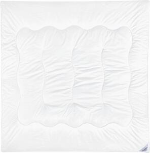 CELOROČNÁ PRIKRÝVKA, 200/200 cm, polyester Sleeptex - Prikrývky & vankúše