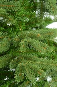 Vianočný stromček Christee 19 180 cm - zelená
