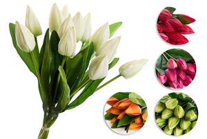 Zväzok tulipánov K03696-5 fialové 12 kusov